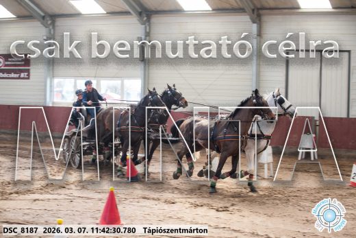 Mintakép 20260307-551