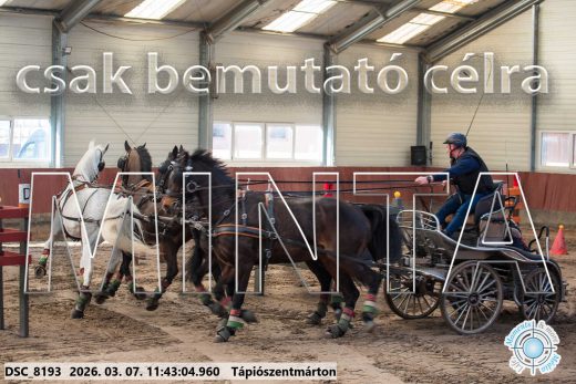 Mintakép 20260307-557