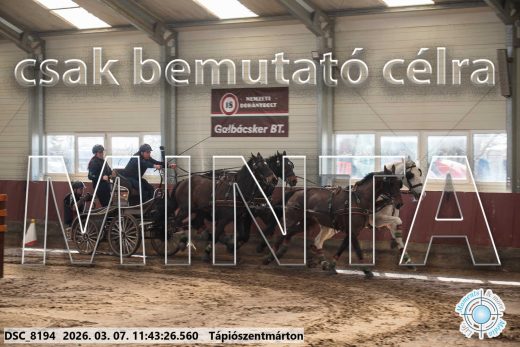 Mintakép 20260307-558