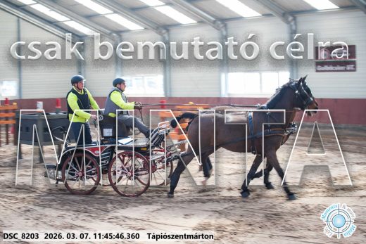 Mintakép 20260307-567