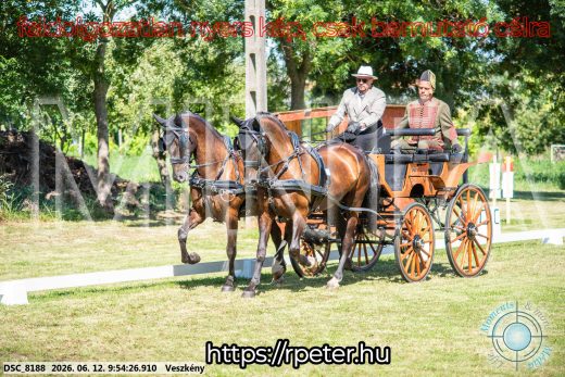 Mintakép 20260612-351