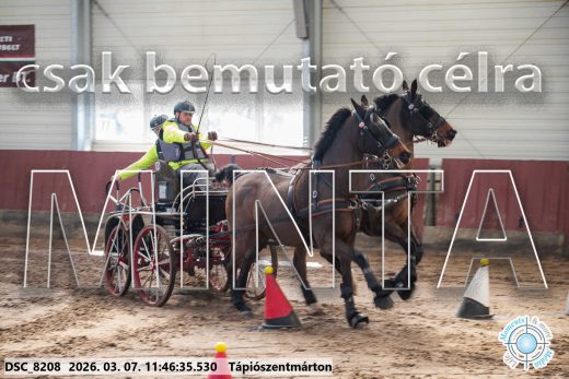 Mintakép 20260307-572