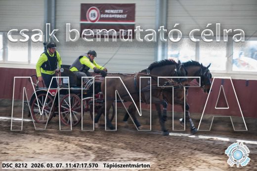 Mintakép 20260307-576