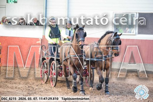 Mintakép 20260307-579