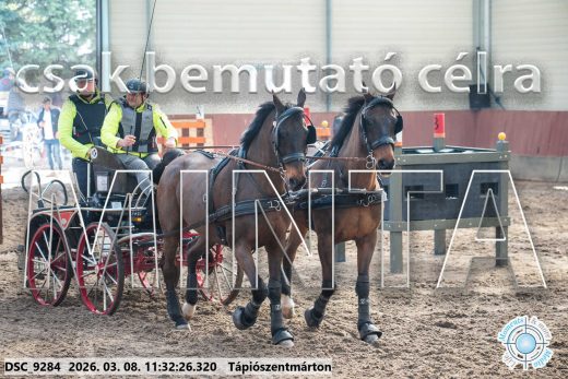 Mintakép 20260308-68