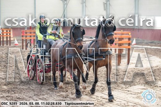 Mintakép 20260308-69