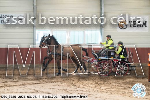 Mintakép 20260308-70