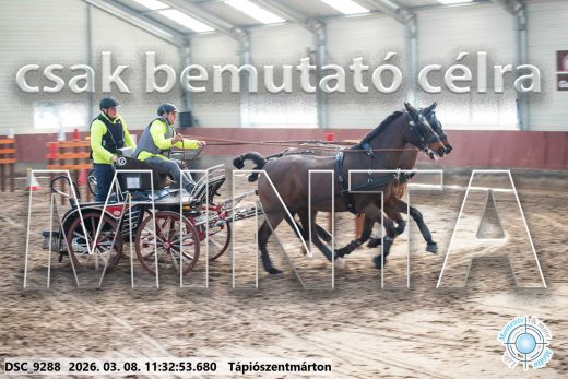 Mintakép 20260308-72