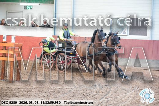 Mintakép 20260308-73
