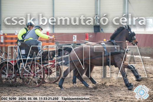 Mintakép 20260308-74