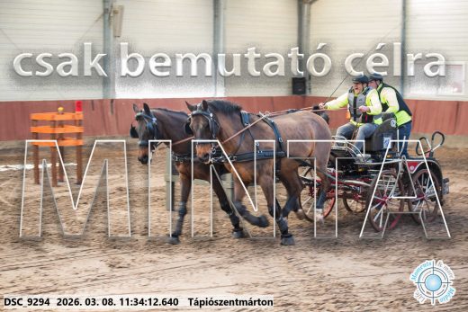 Mintakép 20260308-76