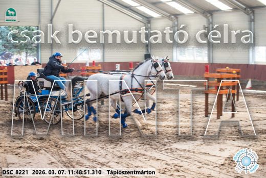 Mintakép 20260307-585