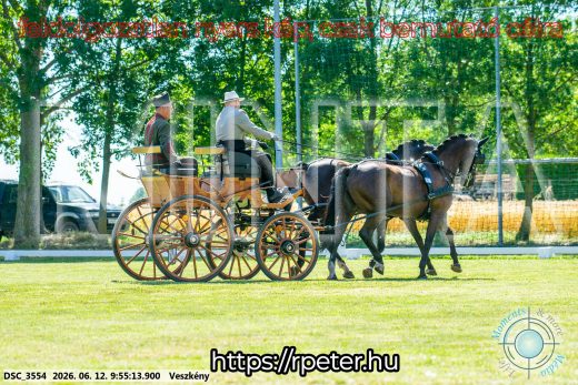 Mintakép 20260612-354