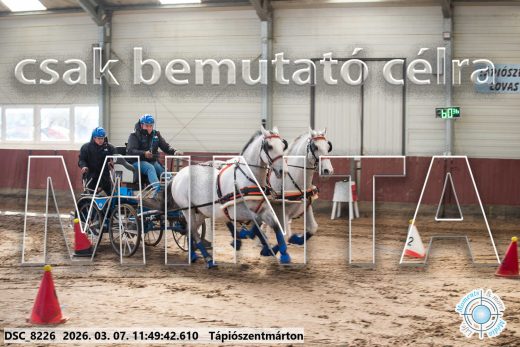 Mintakép 20260307-590