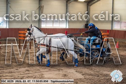 Mintakép 20260307-593