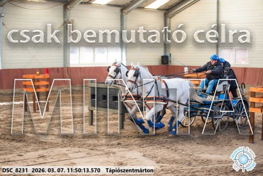 Mintakép 20260307-594