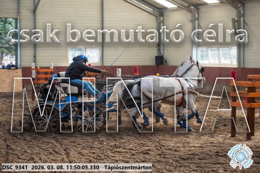Mintakép 20260308-84