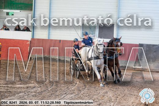 Mintakép 20260307-604