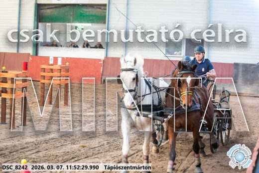 Mintakép 20260307-605