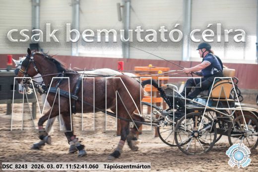 Mintakép 20260307-606