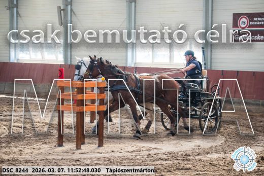 Mintakép 20260307-607