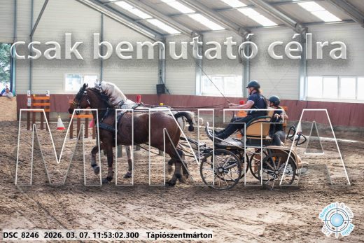 Mintakép 20260307-608