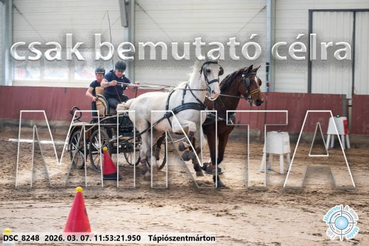 Mintakép 20260307-610