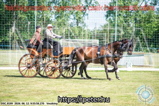 Mintakép 20260612-357