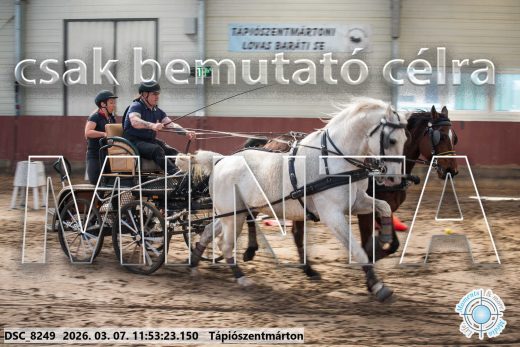 Mintakép 20260307-611