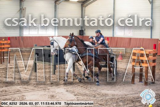 Mintakép 20260307-613