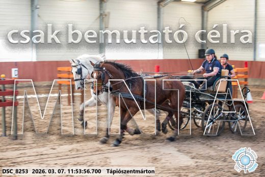 Mintakép 20260307-614