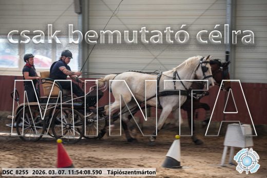 Mintakép 20260307-616