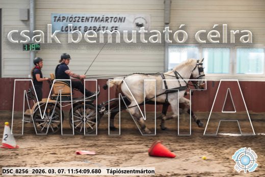 Mintakép 20260307-617