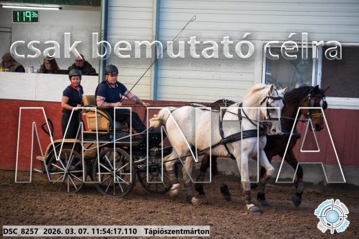 Mintakép 20260307-618