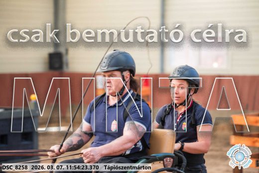Mintakép 20260307-619