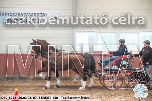 Mintakép 20260307-624