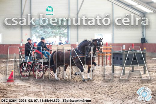 Mintakép 20260307-625