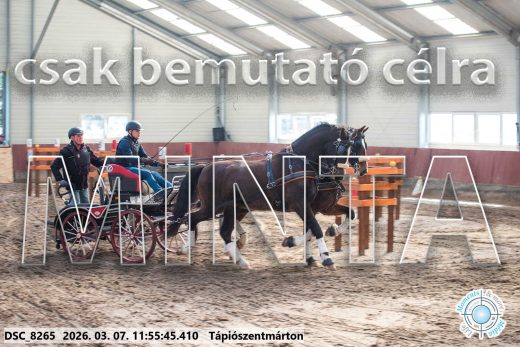 Mintakép 20260307-626
