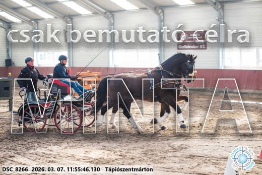 Mintakép 20260307-627