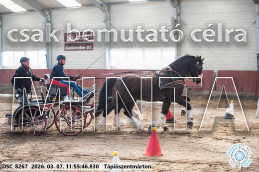Mintakép 20260307-628