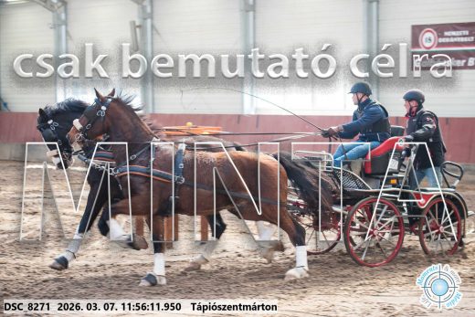 Mintakép 20260307-630