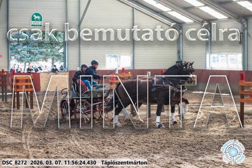Mintakép 20260307-631