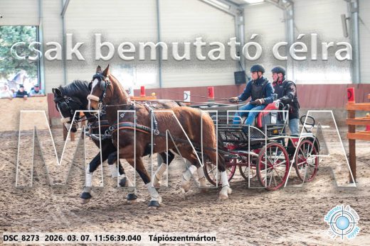 Mintakép 20260307-632