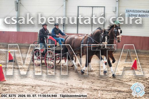 Mintakép 20260307-634