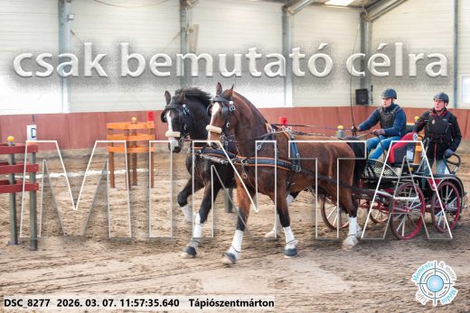Mintakép 20260307-635