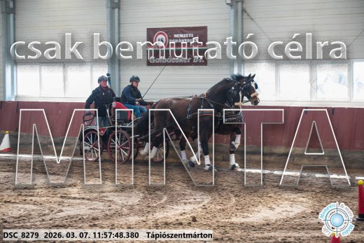 Mintakép 20260307-637