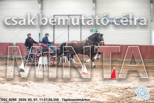 Mintakép 20260307-638