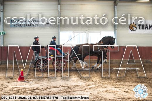 Mintakép 20260307-639
