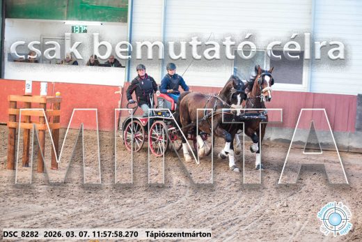 Mintakép 20260307-640