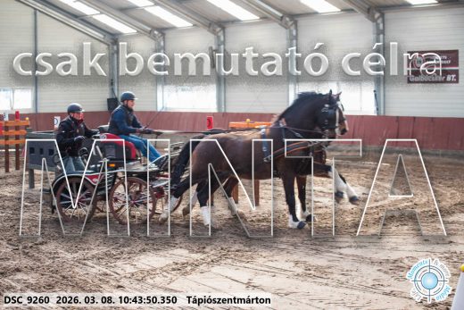 Mintakép 20260308-88